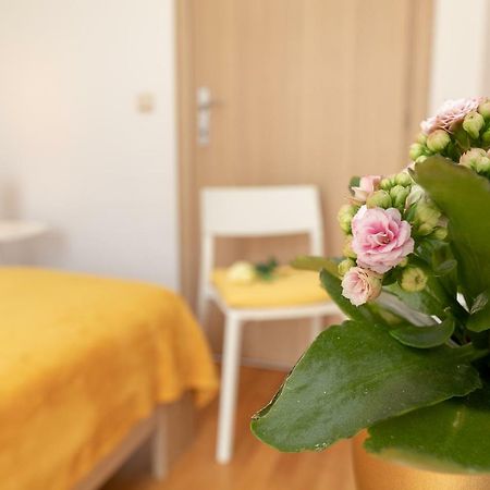 Apartment Nik - Cosy And Stylish Ragusa Esterno foto
